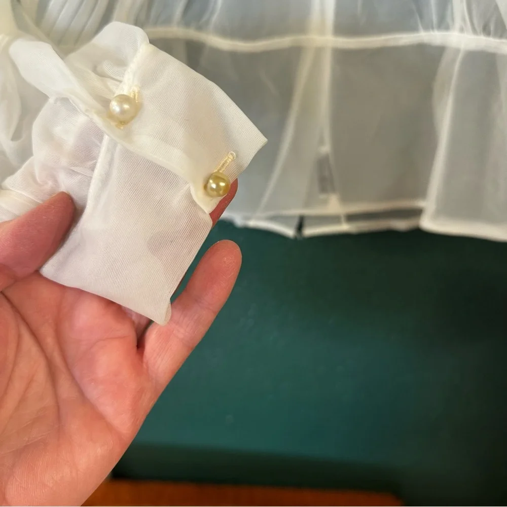 Vintage Miss Debwin Sheer Blouse - Picture 4 of 8